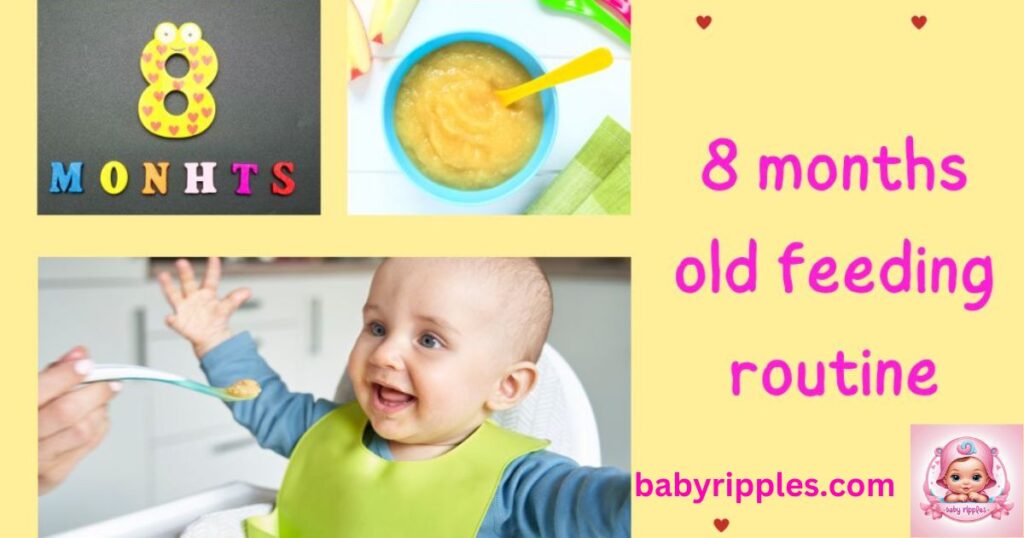 8 month old feeding routine