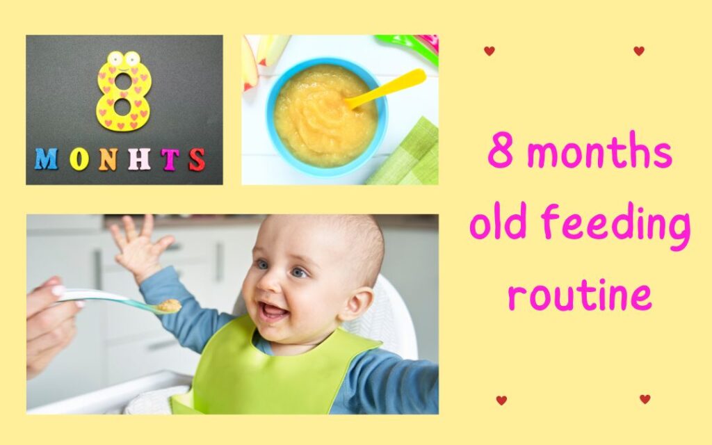 8 month old feeding routine