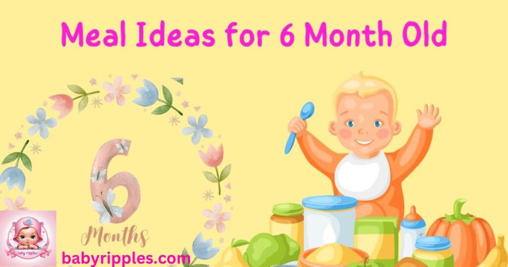 Meal Ideas for 6 Month Old