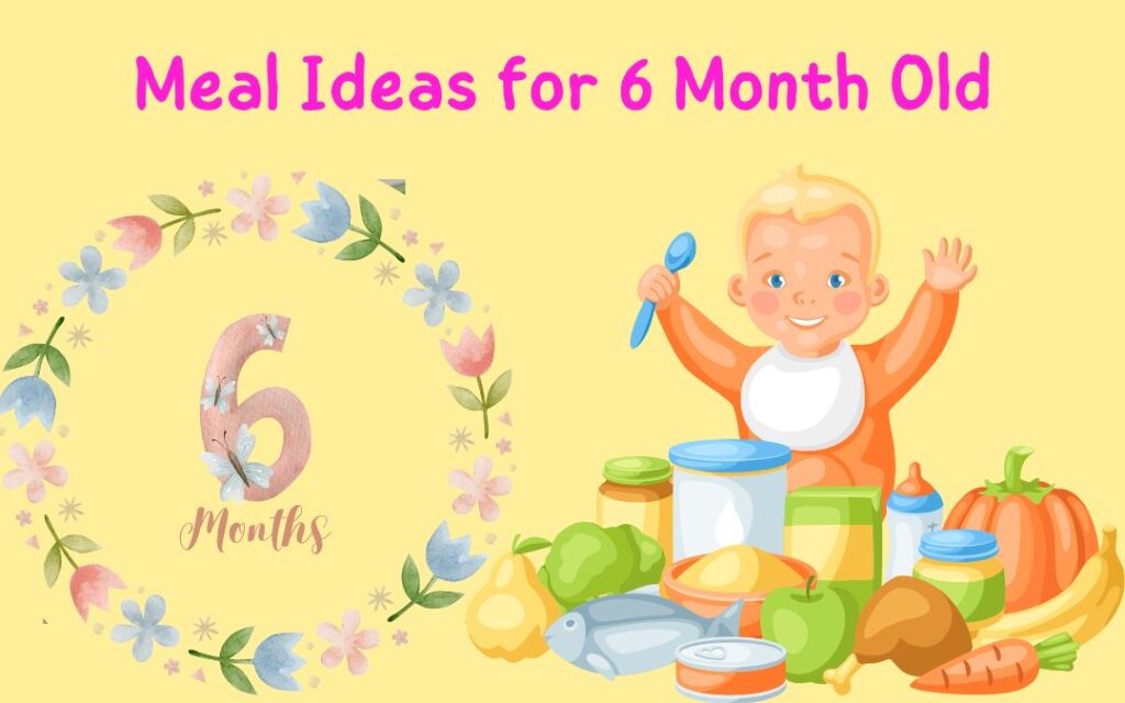 meal ideas for 6 month old