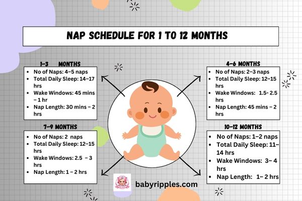 nap schedule for 1 to 12 months