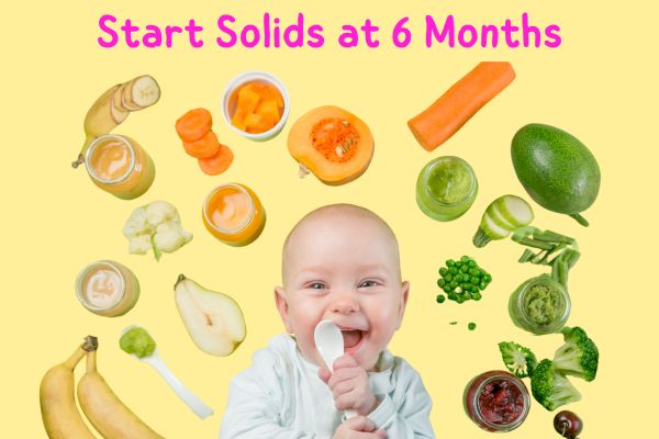 start solids at 6 months