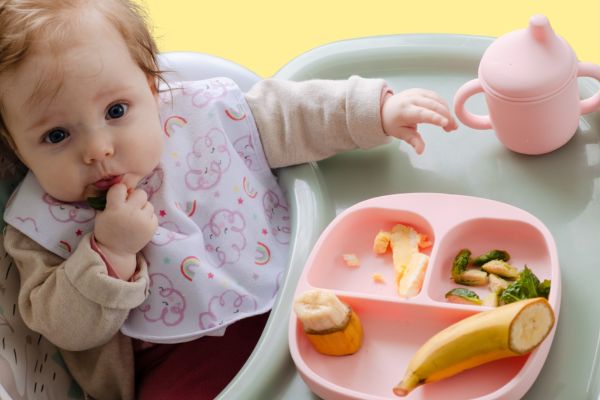 Meal Ideas for 6-Month-Old 