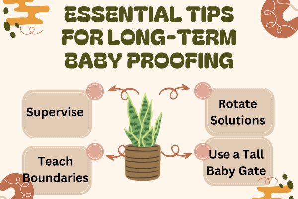 how to baby proof plants     