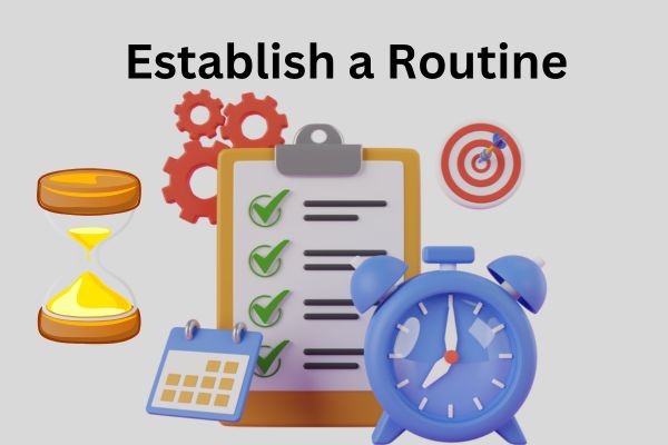 Establish a Routine