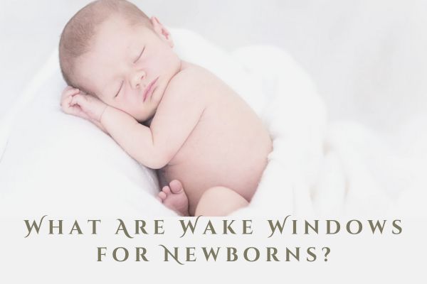 what are wake windows for newborn      