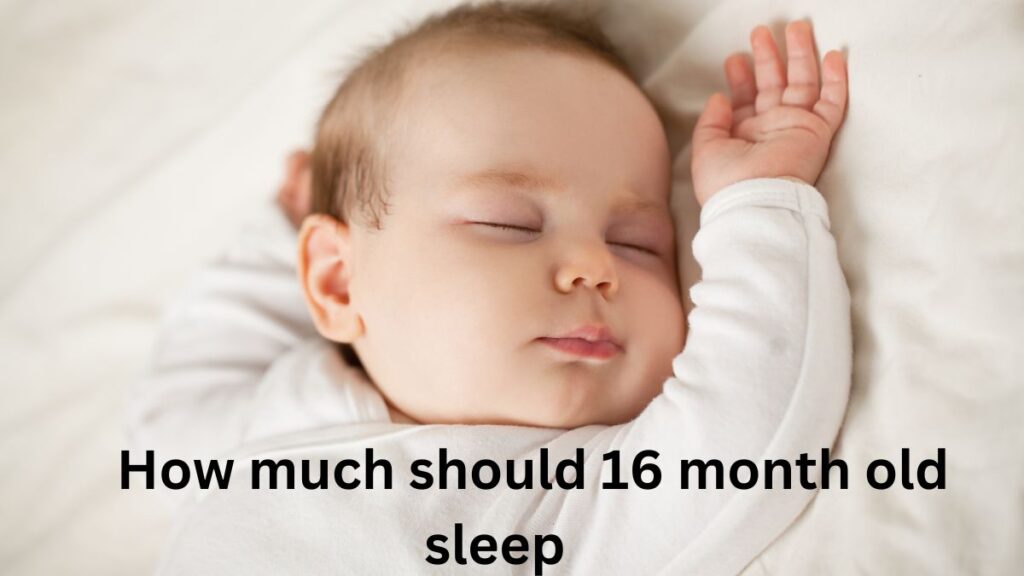 how much should 16 month old sleep