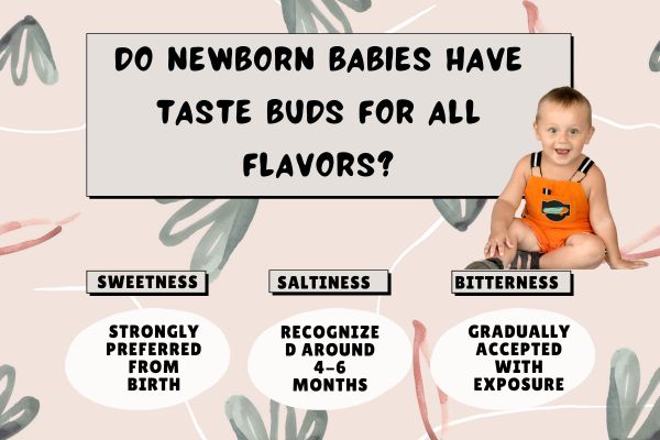 Do Newborns Have Taste Buds    